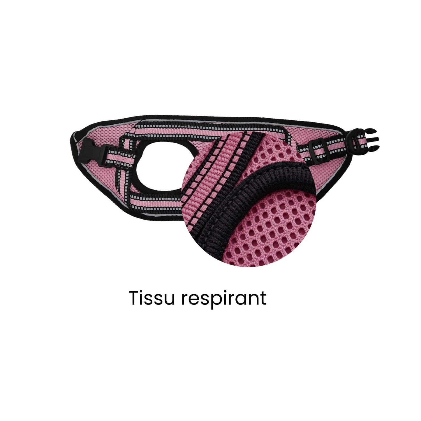 Harnais gilet pour chaton - felinde